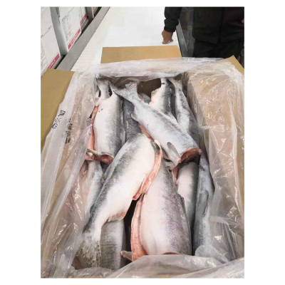 Wholesaler 22kg Raw Material Pink Salmon Whole Fresh Fish Salmon Fish Frozen