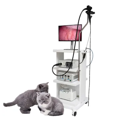 Reasonable Price Video Bronchoscope Veterinary Flexible Gastroscope Digital Portable Endoscope Veterinarian Endoscopio