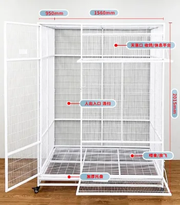 New Design Metal Wire Pigeon Trap Cage Bird Cage for Sale