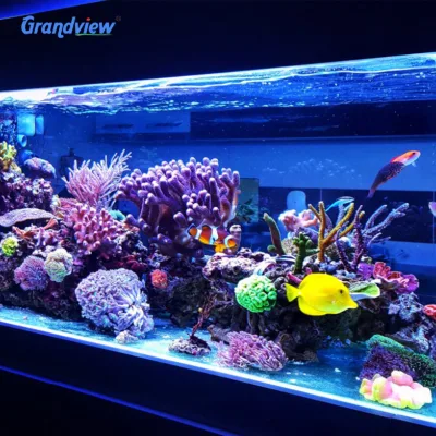 Modern Cylinder Clear Cast Acrylic 300mm Thickness 93% Light Transmission Durable Aquarium with 30-Year Warranty