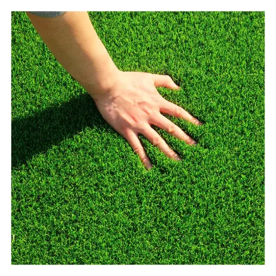 Colored Gym Turf Grass Artificial Turf