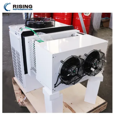 Wall-Mounted Blast Freezer Monoblock Unit for Mobile Cold Room 3HP Monoblock Condensing Cooler Industrial Cooling System