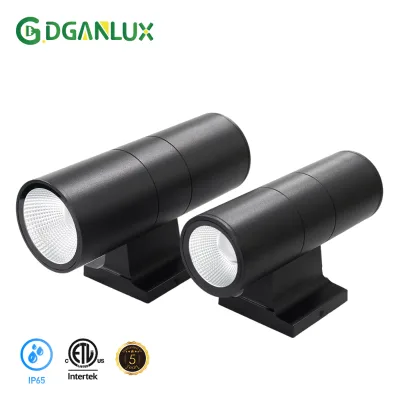 120v-277v High Brightness Dimmable LED Wall Light 5CCT IP65 Waterproof Head Led Outdoor Wall Light