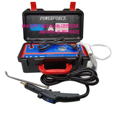 High Pressure Steam Cleaner 1700W Handheld Portable Steamer 3-5 Bar High Temp Pressurized Steam Cleaner Cleaning Machine