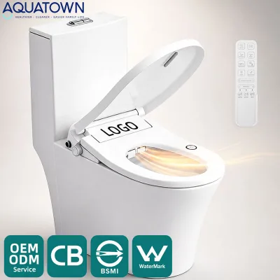 Electric Smart Toilet Seat Bidet Heated Warm Water Easy Install Adjustable Spray Nozzle Air Dryer Deodorizer OEM