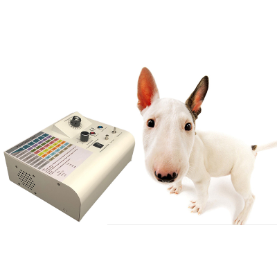 Portable Device Ozone for Dogs Disease Treatment Ozone Therapy
