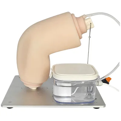 Simulated Arthroscopic Simulator Knee Joint Model for Liquid Perfusion & Underwater Simulation Training