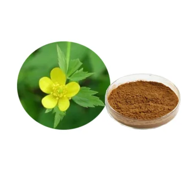 Natural Herbal Cat's Claw Extract Powder Cat's Whiskers P E  1%-3%