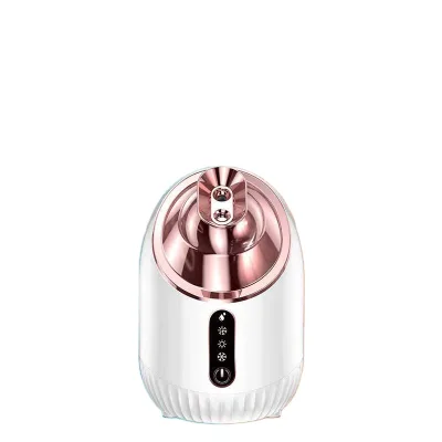 Wholesale Electric Ionic Nano Mist Mister Sprayer Blackhead Remover Kit Professional Facial Steamer Micro-current Technology