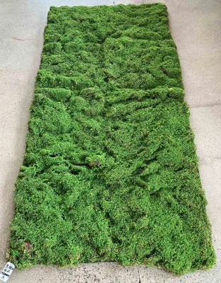 EG-J092 High Density 100x200cm Artificial Moss Simulation Foam Board Indoor Decor Artificial Moss Mat