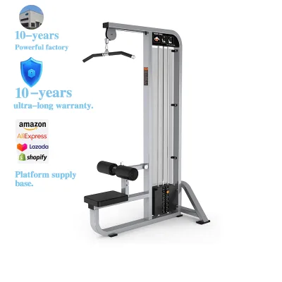 Affordable Steel Back Workout Machine As Adjustable Pin - Loaded Home Gym Equipment