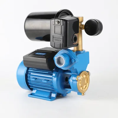 WZ 0.01hp New Design High Pressure Booster Suction Automotive Industry Diaphragm Pump DC/BLDC Motor Stainless Steel Water Pump