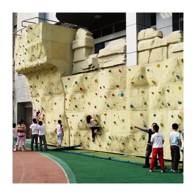 Youth Physical Training Climbing Wall