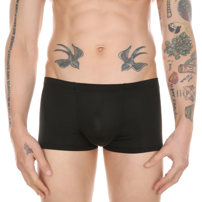 Mens Ice-Silk Underpants FTM Packer Boxer Briefs Shorts Soft Pouch Trunks With Cups Thongs