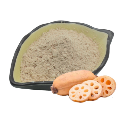 Best Selling Products Lotus Root Extract Powder, Lotus Root Starch, Nelumbo Nucifera Extract