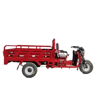 Hot Sale Cheap Gasoline Motorized Petrol Engine Tuk Tuk Cargo Tricycle 150CC Open Body Type for Cargo and Passenger
