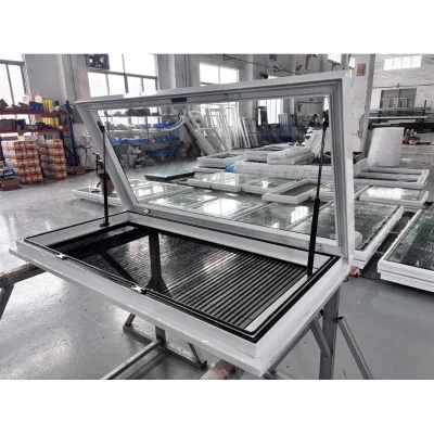 Manual Opening Glass Roof Skylight with Mesh Screen for Houses Tempered Glass Euro Handle Awning Top Hung Roof Windows