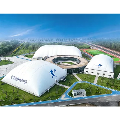 Event-level Large Modular Dome Tent Custom Design 3D Drawing Online & Field Install Tutoring Air-supported Buildings