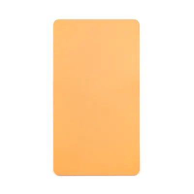 High Quality Tattoo Silicone Auxiliary Consumables Suitable for Novice Tattoo Practice Skin Blank Silicone Large Practice Skin