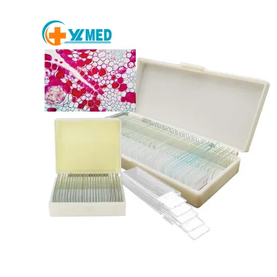 High Quality Medical Science Biology Chromosome Prepared Slides Best Price Great Repurchasing Rate for Office & School