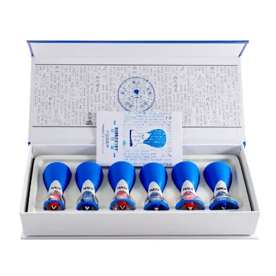Best Selling Chinese Therapy HACI Magnetic Vacuum Cupping 6 Cups Set for Health Care
