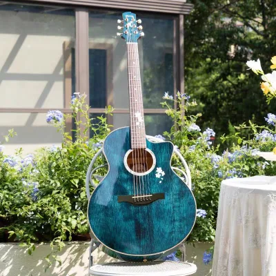 Trumon Next-Gen Falling Cherry Single-Sided Acoustic Folk Guitar