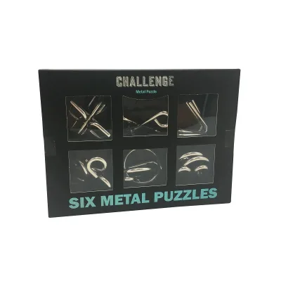 Professional Metal Brain Teaser 6 in 1 Pcs IQ Metal Puzzle Set Storage