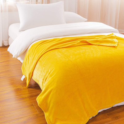 Factory Cheap High Quality Hot Sale Custom Logo and Packing Winter Bed Blankets Wholesale