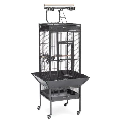 Contemporary Style Antiqued Macaw Grey Parrot Aviary Pet House Handmade Small Animals Metal Iron Bird Cage Wood Box Sale