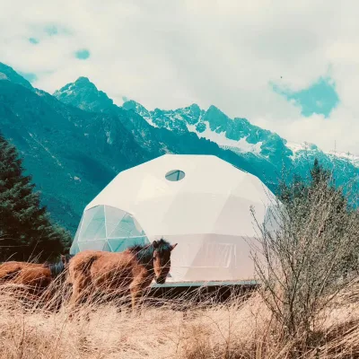 Translucent Spherical 6m PVC Ball Tent Luxury Star Bubble House for Hotels & Campsites Waterproof