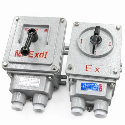 BHZ51 Explosion Proof Changeover Switch 380V 10A 25A Aluminum Alloy ExdIIBT4 Motor Forward Stop Reverse Rotary Control Switch