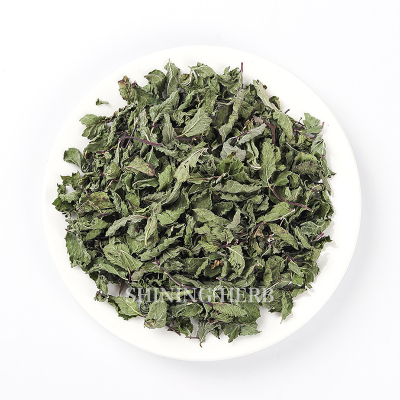 Dried Green Spearmint Leaves Herbal Tea Loose Packaging Fresh Edible Fragrant Liu Lan Xiang Mint Tea Not Peppermint
