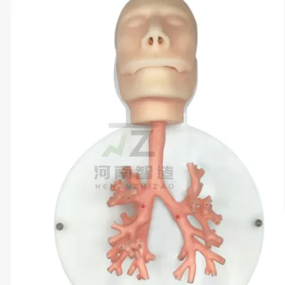 New Respiratory Endoscope Training Model Multi-Functional Bronchoscope Practice Model Pink Soft Material