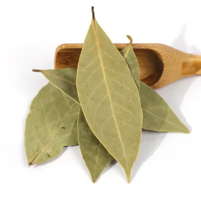 Factory Price Supplier 100% Green Dried Bay Leaf Premium Quality Single Spices & Herbs