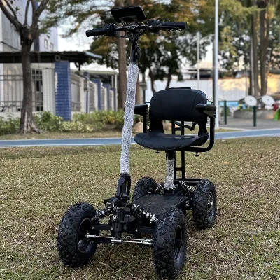 4OEM Single Person Sightseeing and Commuting Four-wheel Electric Vehicle Off-road Tire Foldable Bike Other Electric Bike