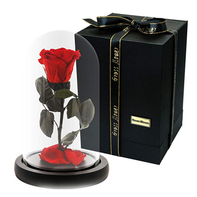 Real Enchanted Rose Eternal Rose Preserved Rose in Glass