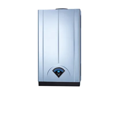 Hot Selling China Best Good Quality Gas Water Heater