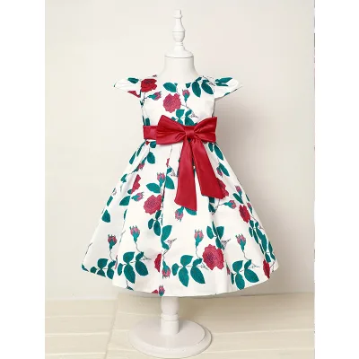Modern Design Summer Older Children'S Clothing Clothing Kids Flower Girl Ropa De Bebe Dress