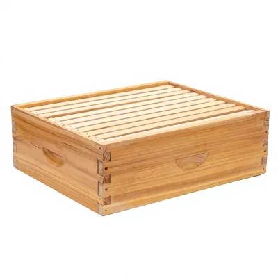 ZHILI BEE 10-Frame Medium Super Langstroth Beehive New Condition BeeBox Dipped 100% Beeswax Light Brown Honey Bees Super BeeHive