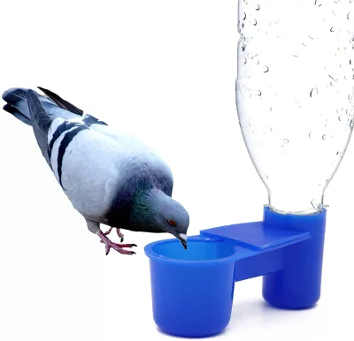 Wholesaler Pigeon Drinker Water Deflector Drinker Bottle Fount for Birds Water Feeder Dispenser