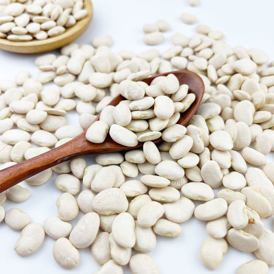 Top Quality Butter Beans/ White Kidney Beans at Lowest Price for Exporting Lima Beans