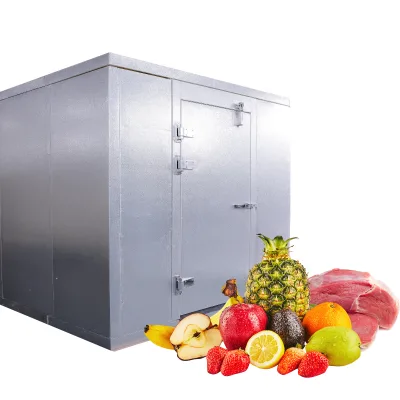 Cold Storage Container for Fruits with Copeland/Bitzer Compressor