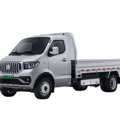 New Kaicheng Shenqi T30EV 2024 comfort Mini Truck Retail  Electrical EV Automobile Commercial  New Energy Vehicle WholeSale