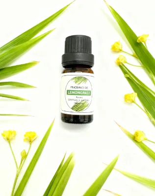 High-concentration Hotel Fragrance Diffuser Essential Oil Luxury Aromas Support Customization OEM/ODM