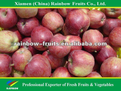 Fresh Red Huaniu Apple