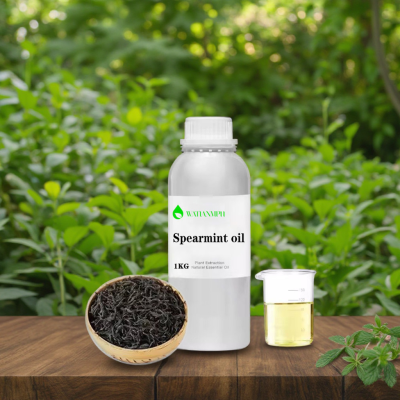 Manufacturer Certified 100% Pure Natural Organic Spearmint Extract Fresh Odor Spearmint Oil with CAS 8008-79-5