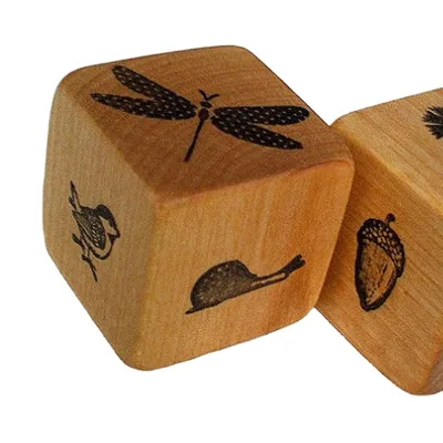 Dongguan Factory Custom Wood Wooden Dice with Printed Animal Pictures