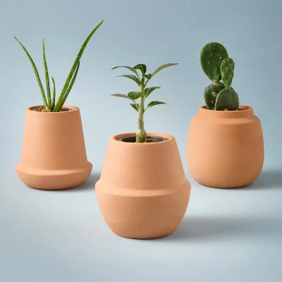 Modern Biodegradable Eco-Friendly Home & Garden Grow Kits