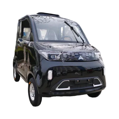 Custom 60v Electric Pedal Four-wheeler Two-Door Audi Black Enclosed Four-seater with Solar Technology for Short Commutes