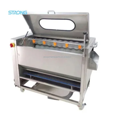 High Productivity Vegetable Carrot Coconut Fruit Sugarcane Nuts Brush Wash and Peel Machine